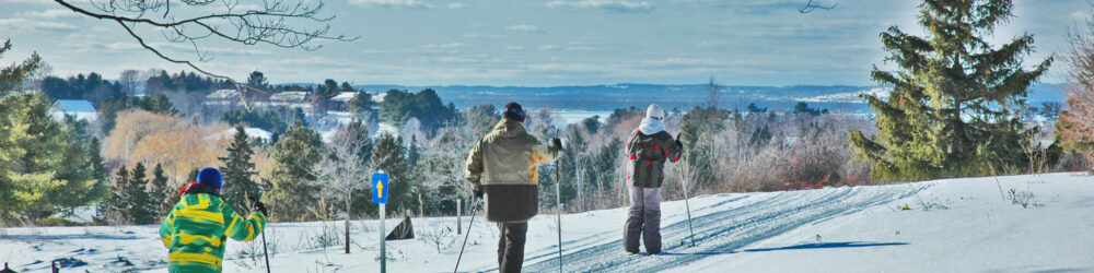 Group of people skiing on a snowy mountain