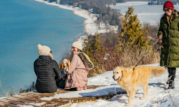 Woman walking her dog in the winter